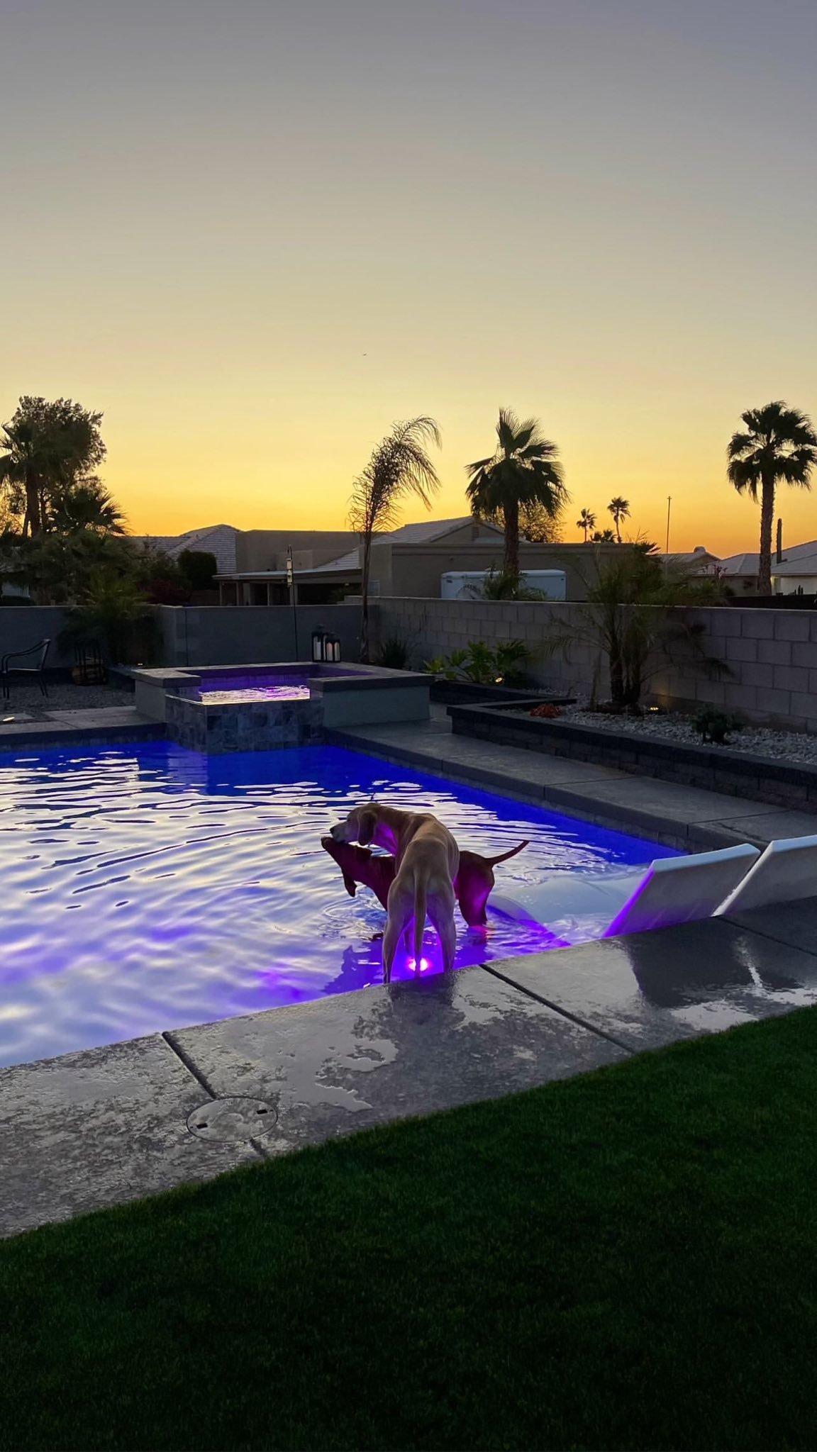 503857932_1211528007423929_8026203633268986567_n